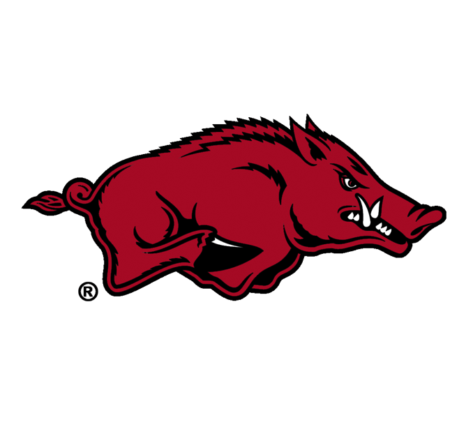 University of Arkansas Bags, Backpacks and Aprons