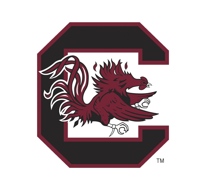 University of South Carolina Bags, Backpacks and Aprons